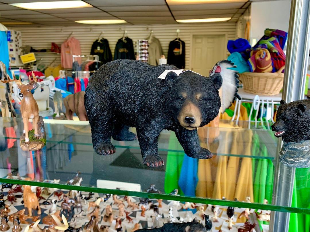 Lake View Motel & Gift Shop主图