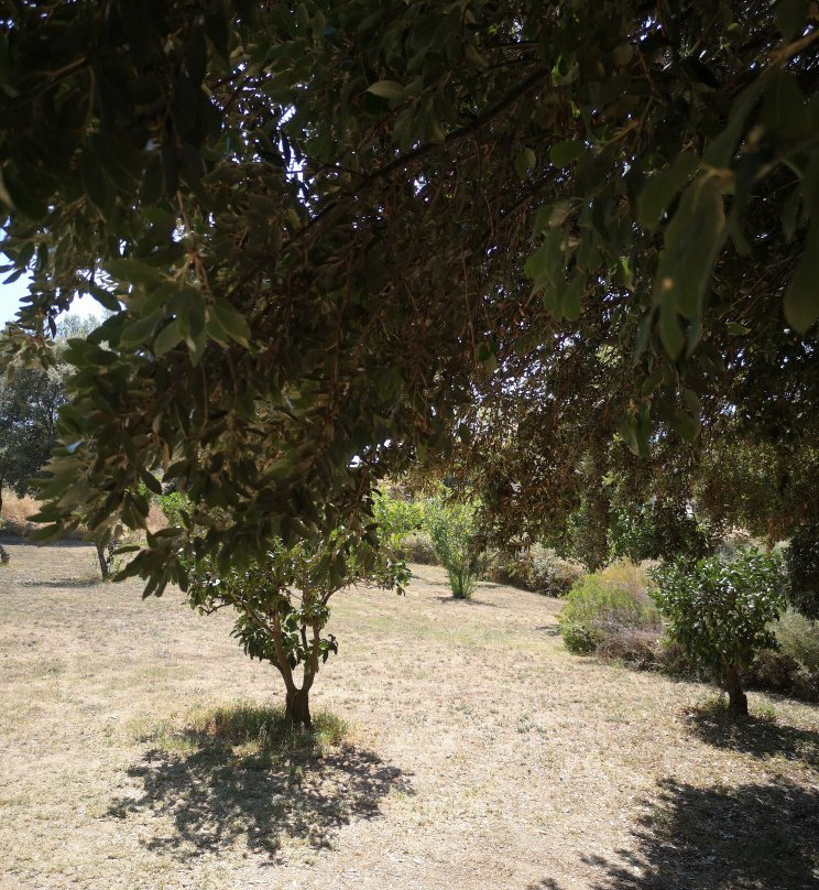 Villa Limone主图