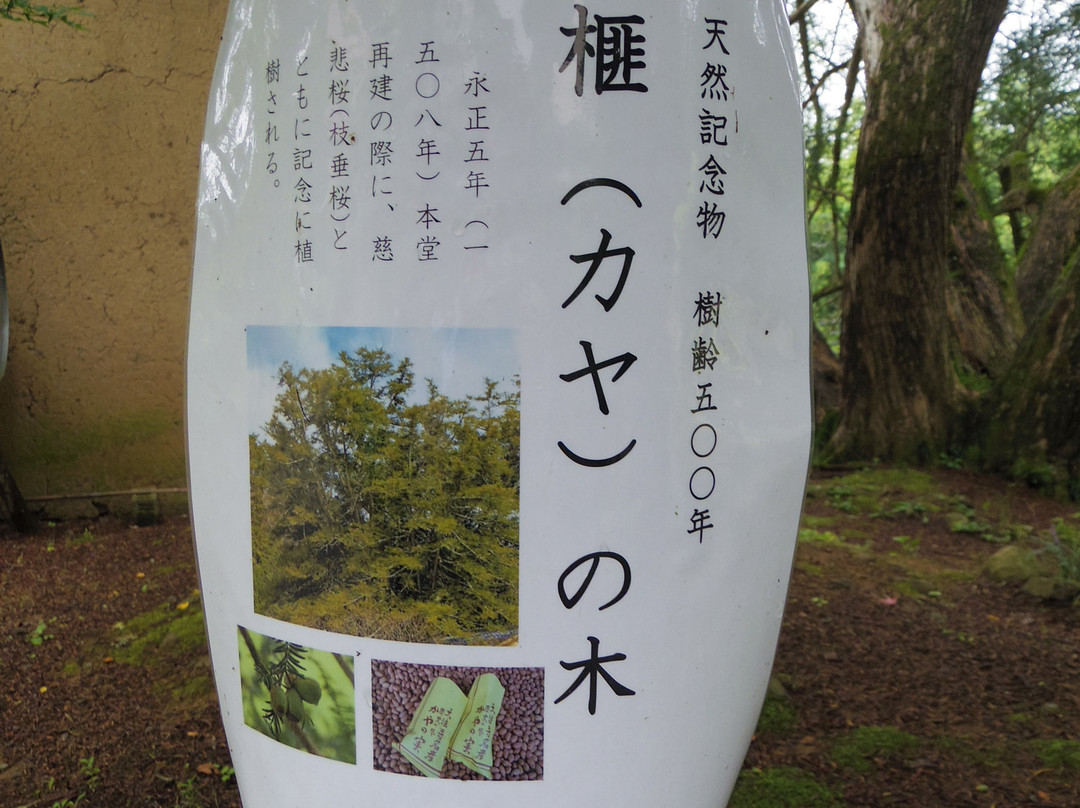 Daiho-ji Temple-青木村必去景点