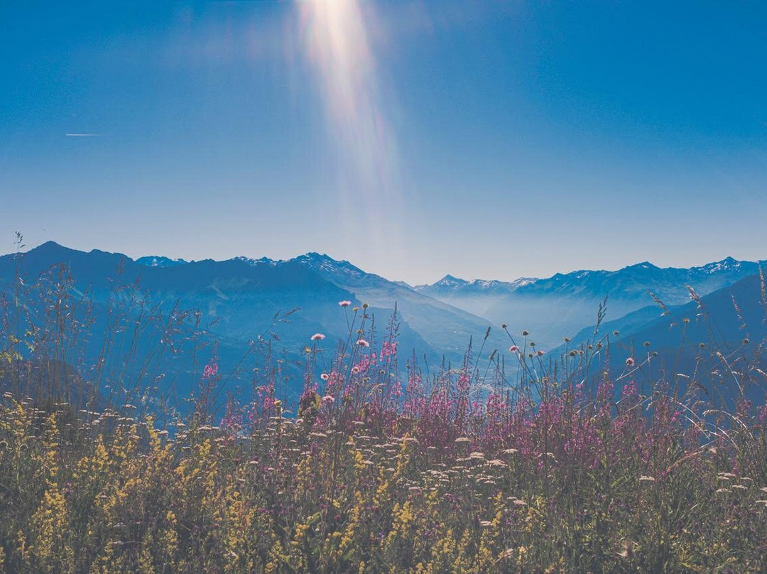 Chalet La Tuviere Bike Inn主图