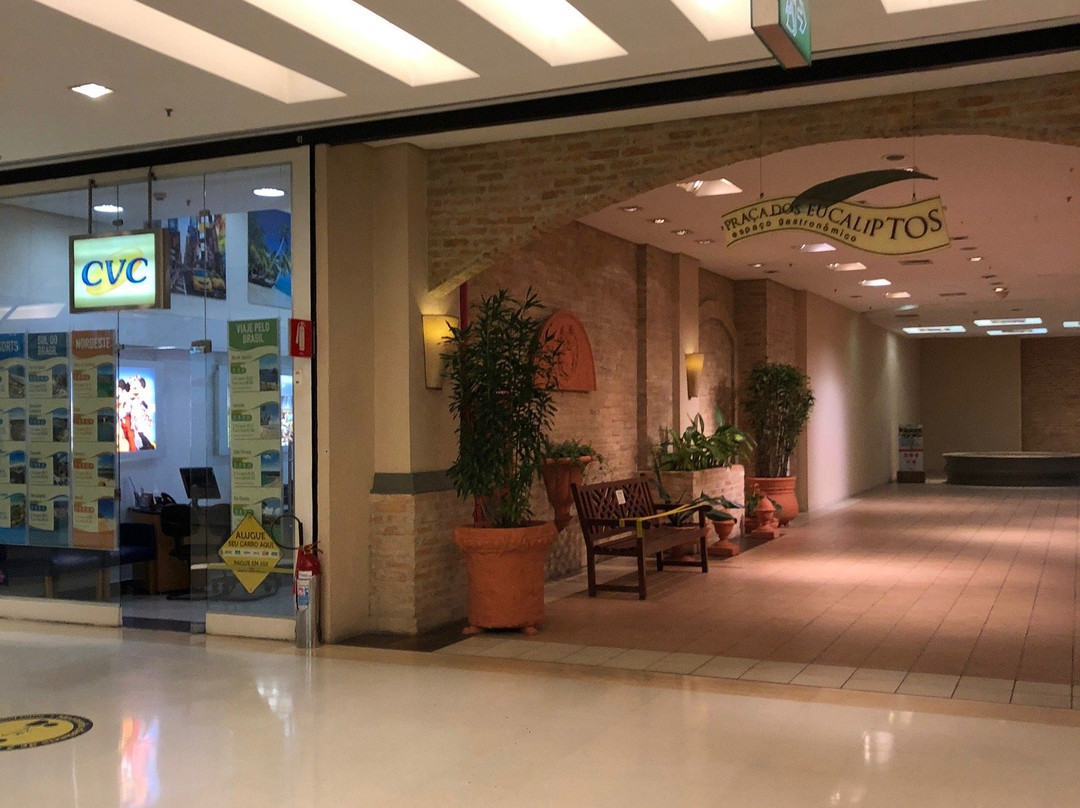 Shopping Ibirapuera景点图片