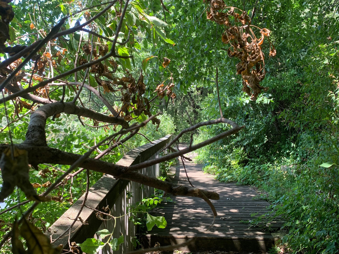 Elinor Bedell State Park-Spirit Lake必去景点