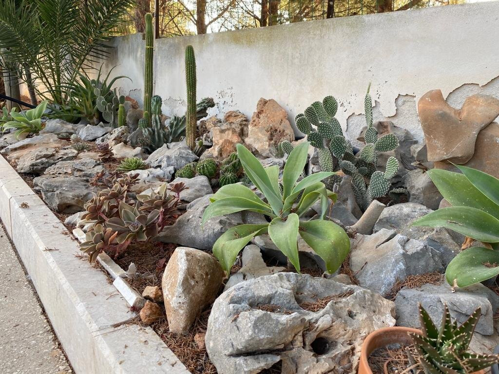 B&B "Perla del Sud"主图