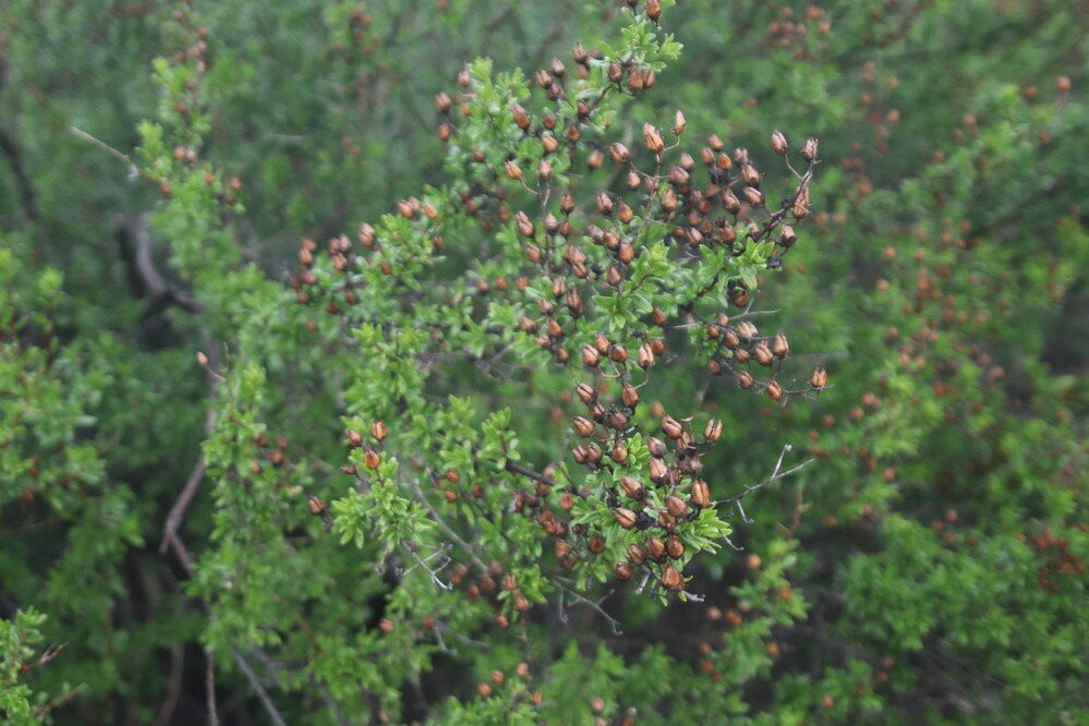 San Timoteo Nature Sanctuary,redlands-雷德兰兹必去景点