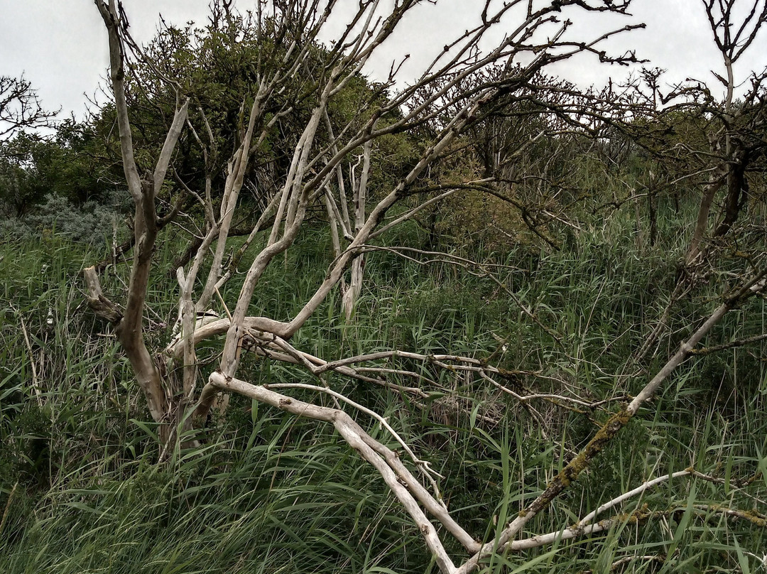 Round and Round House-Anderby Creek必去景点