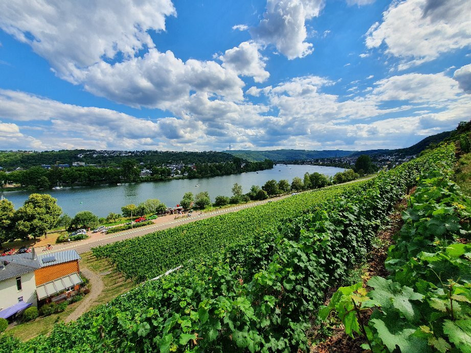Weingut Schwaab-科布伦茨必去景点