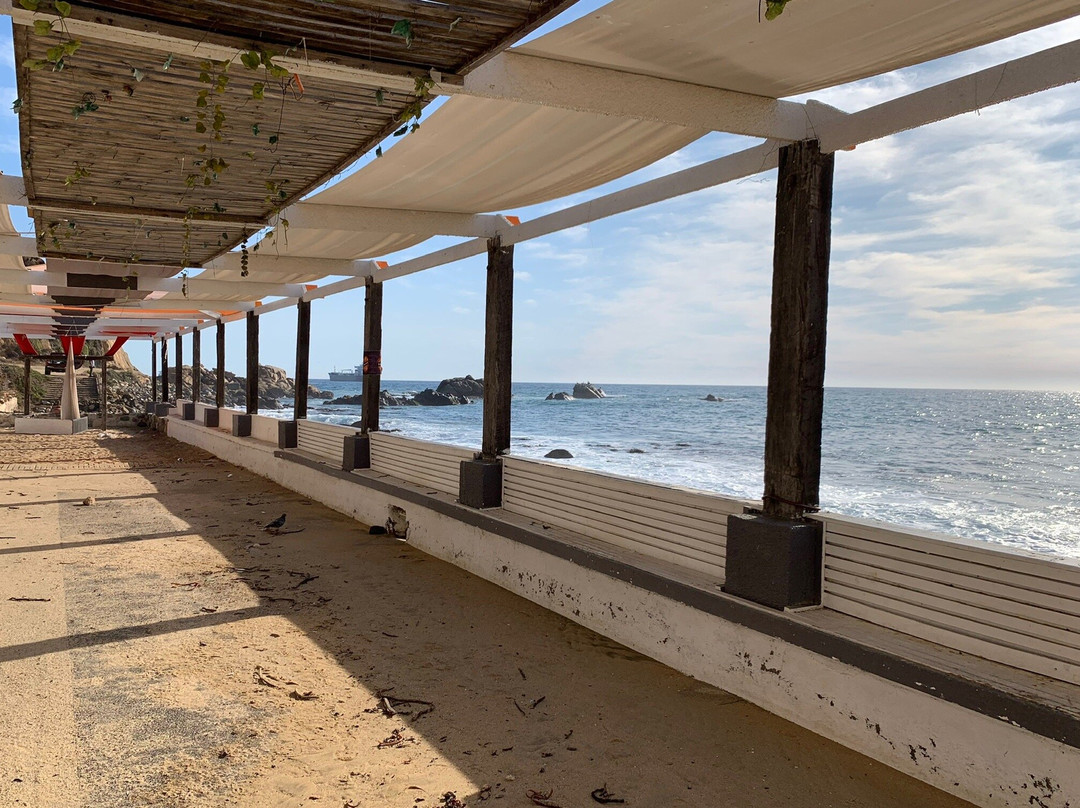 Playa La Salinas-比尼亚德尔马必去景点