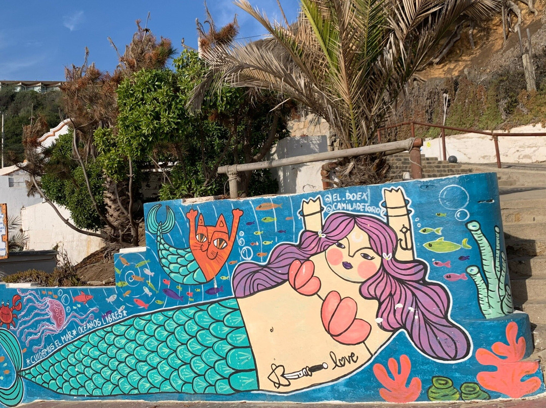 Playa La Salinas-比尼亚德尔马必去景点