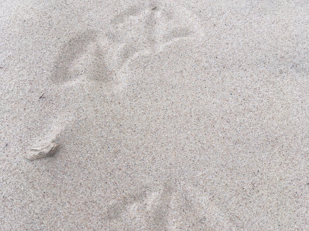 Miejsce Miedzyzdroje-缅济兹德罗耶必去景点