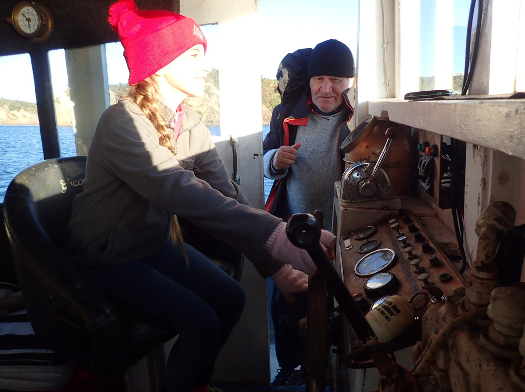 Fishing Waiheke - Day Tours-怀系奇岛必去景点