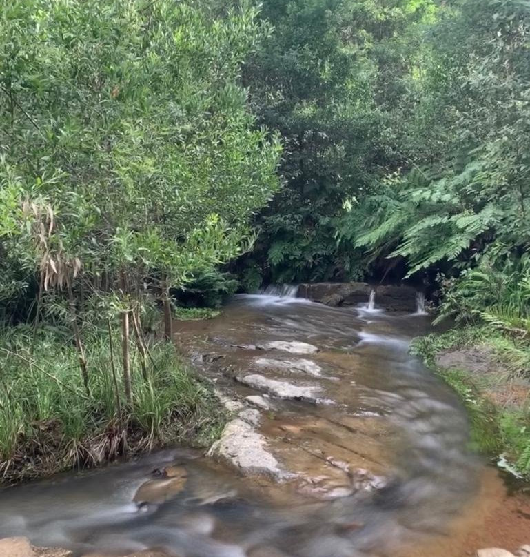 Mason Falls Picnic Ground-Kinglake必去景点