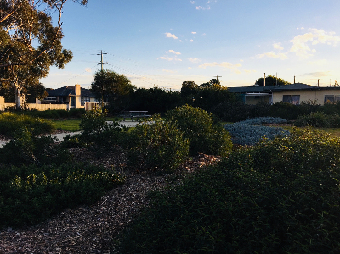 Apex Park-塞尔必去景点