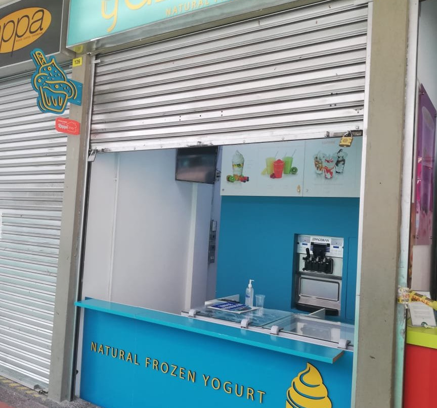 Yasawa Frozen Yogurt