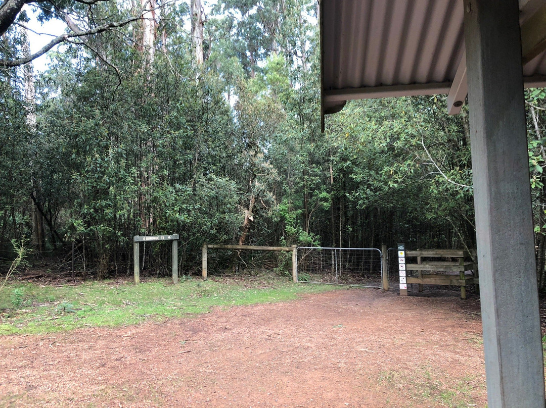 O'Donohue Picnic Ground-希尔布鲁克必去景点