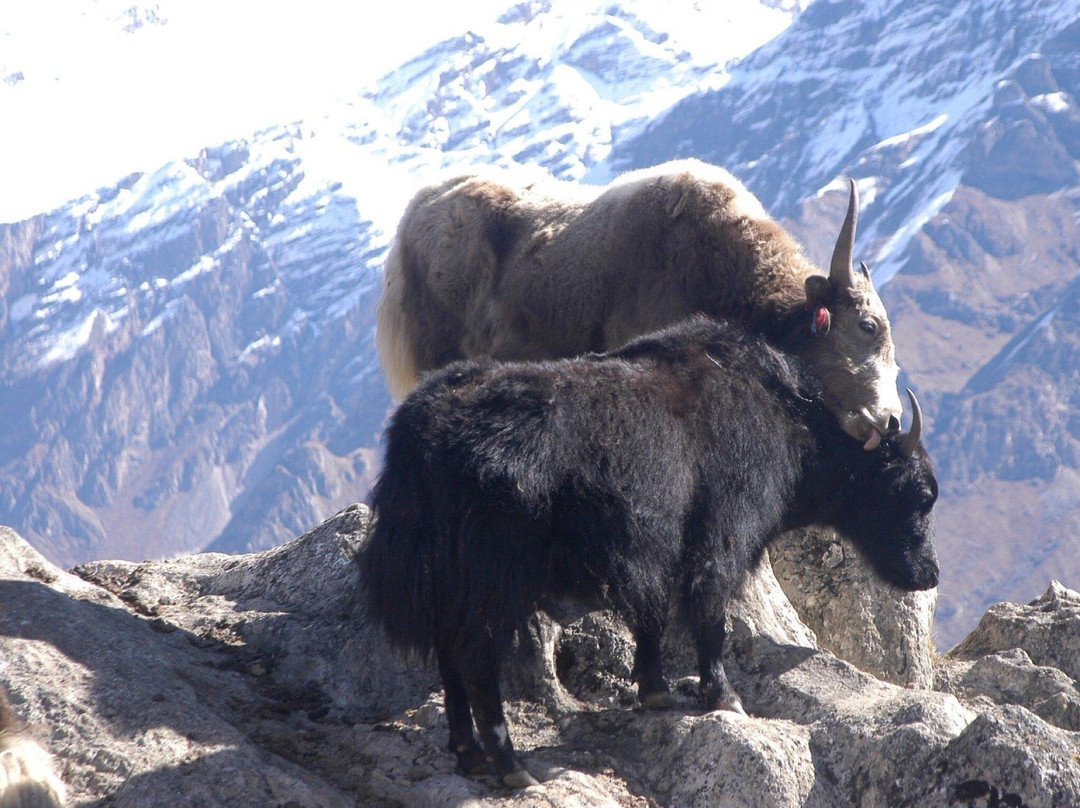 Manaslu-Gorkha必去景点