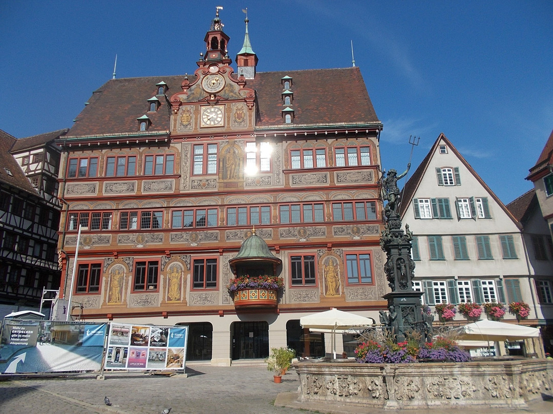 Town Hall (Rathaus)景点图片