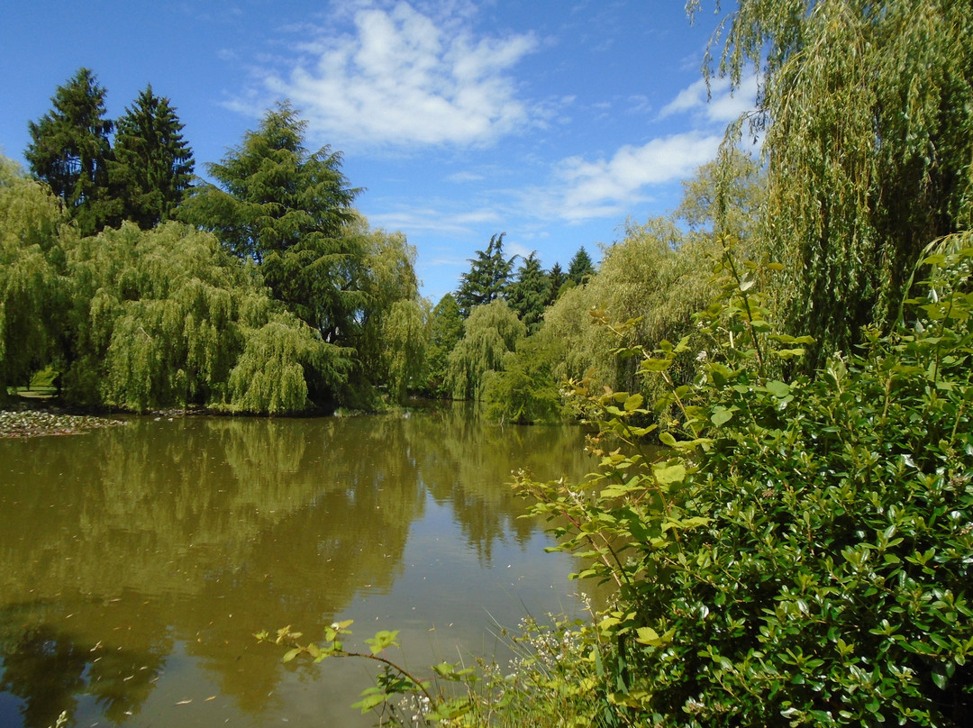 Minoru Park景点图片