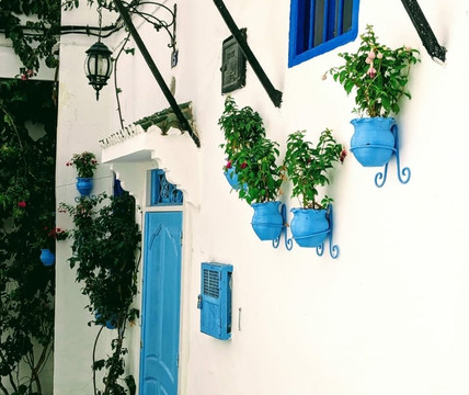 Tangier By Guide-丹吉尔必去景点