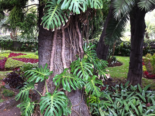 Quinta Vigia-沙尔必去景点