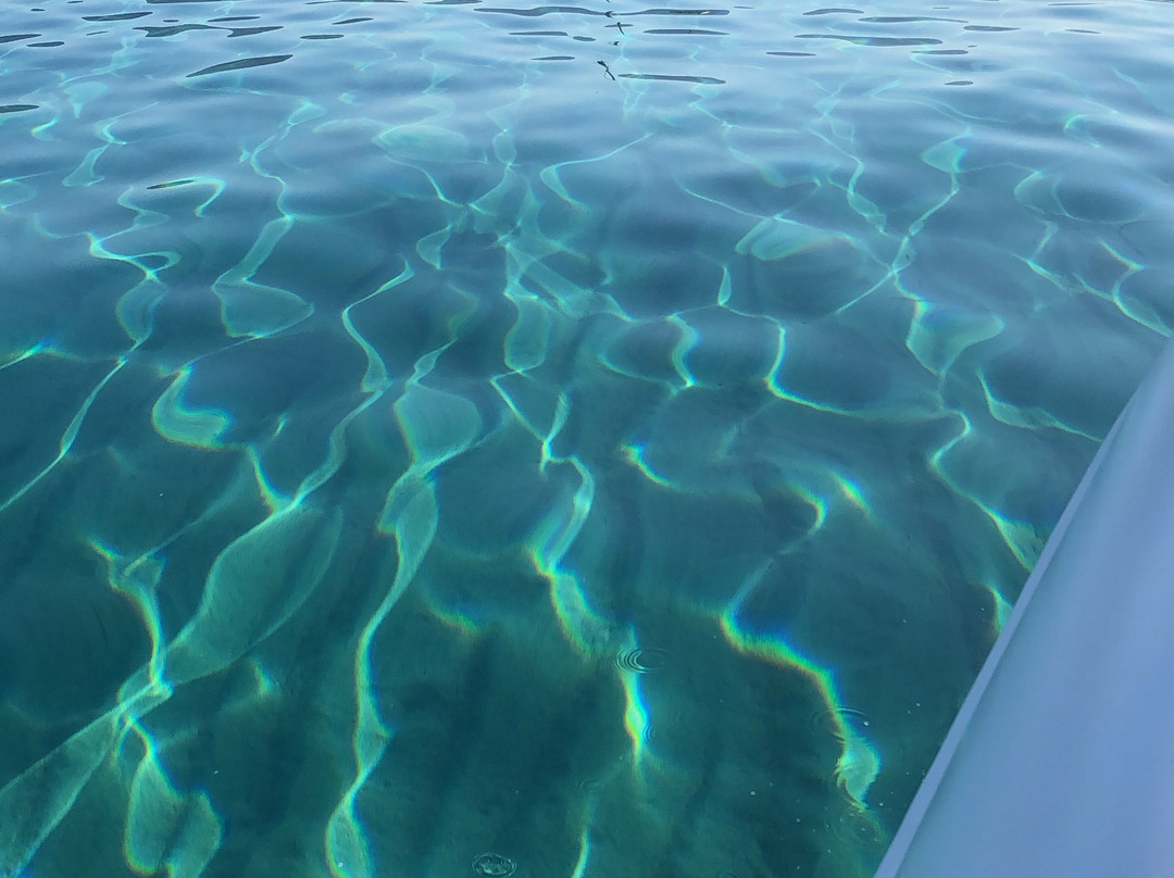 Locamarine Boat-Propriano必去景点