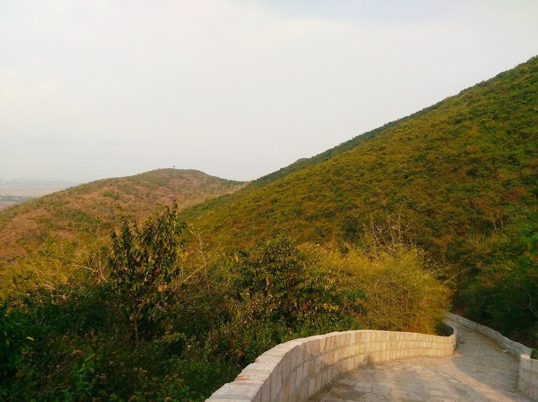 Maa Barunei Temple景点图片