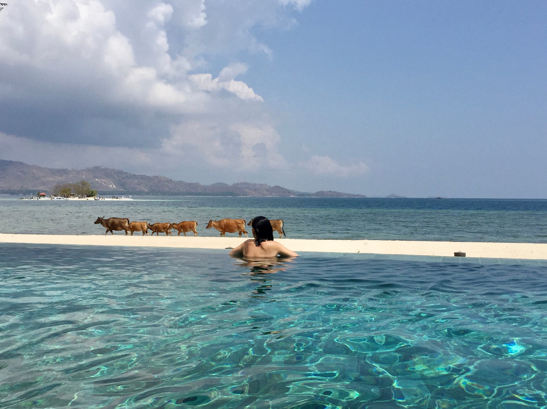 The Suites Lombok主图