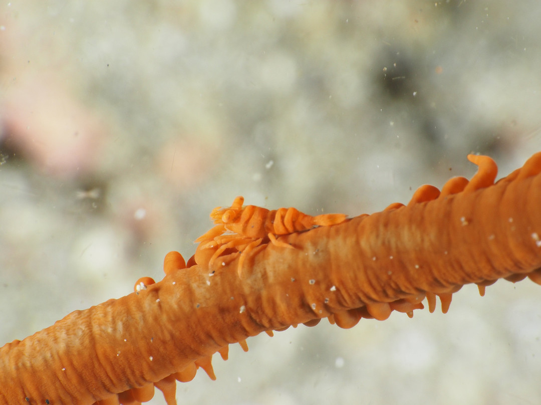 水上冒险乐园礁俱乐部酒店主图