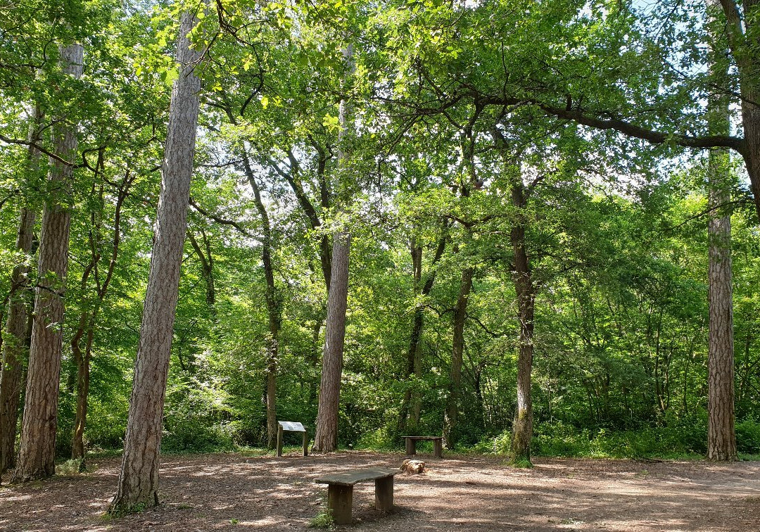Domaine de la Burthe-Floirac必去景点