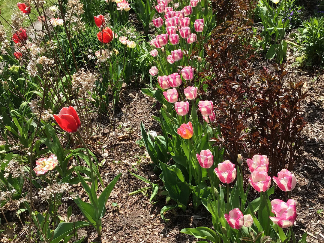 Albany County Historical Association-奥尔巴尼必去景点