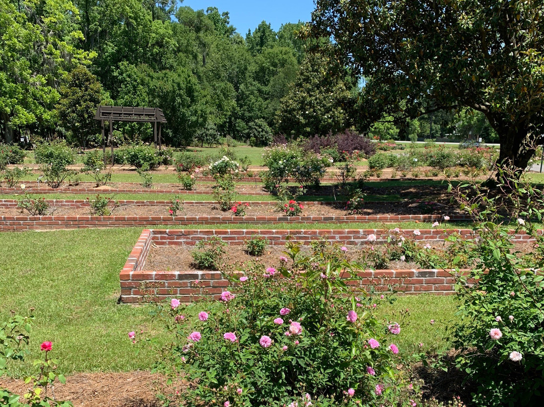 Thomasville Rose Garden景点图片