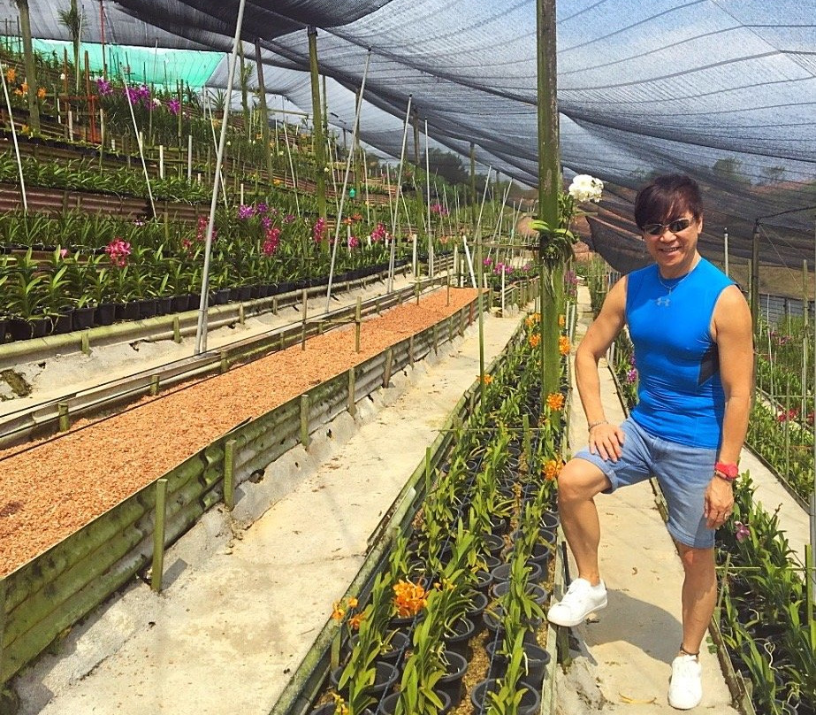 United Malaysian Orchids Sdn Bhd-万挠必去景点