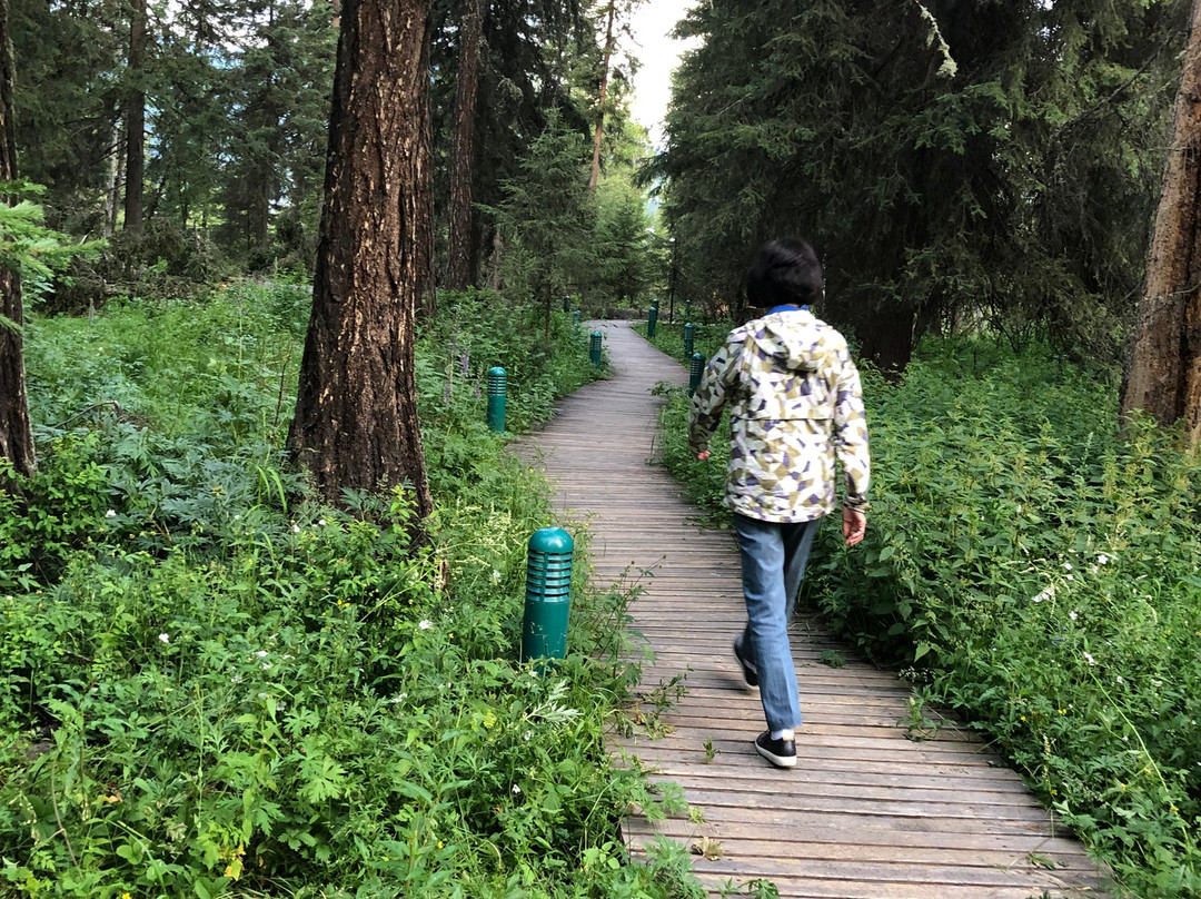 喀纳斯鉴苑山庄酒店主图