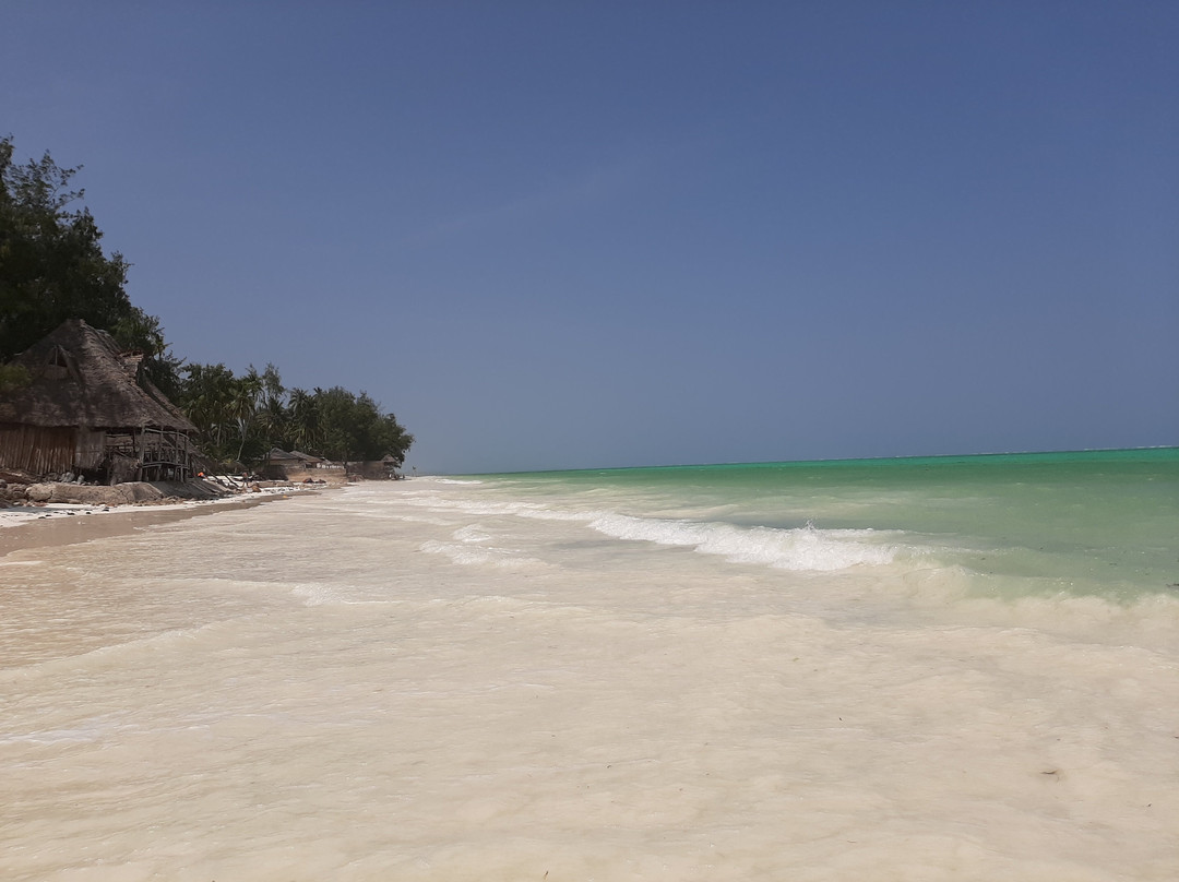 Nakupenda Paje Villa主图