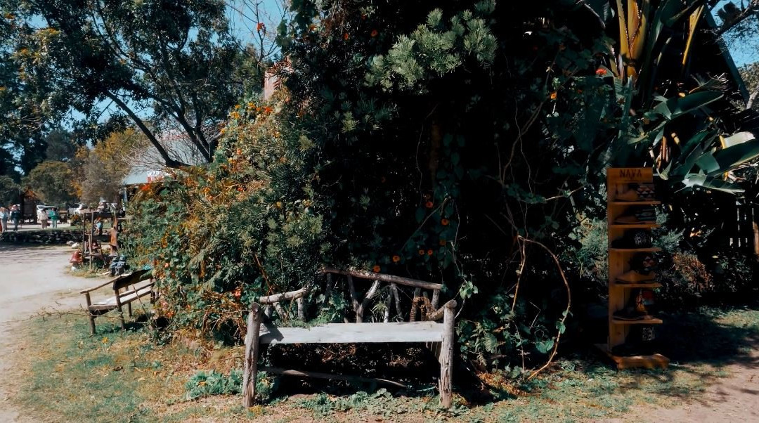 Timberlake Village-荒野必去景点