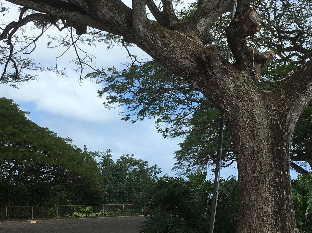 He'eia State Park-卡内奥赫必去景点