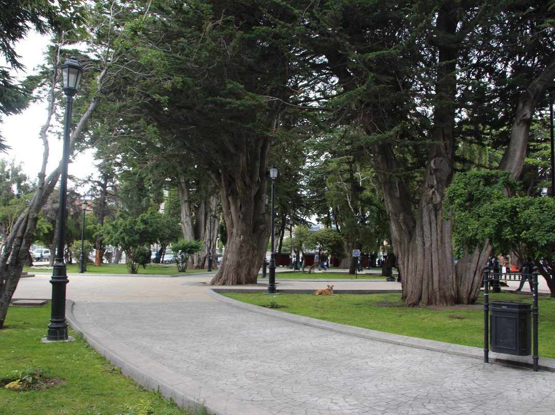Plaza de Armas-蓬塔阿雷纳斯必去景点