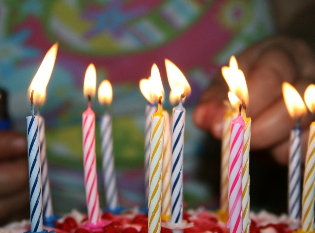 Stay@Home-Elst必去景点