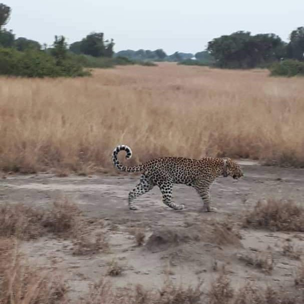 ENCHANTED UGANDA SAFARIS-Fort Portal必去景点