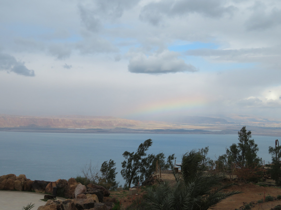 Dead Sea Museum景点图片
