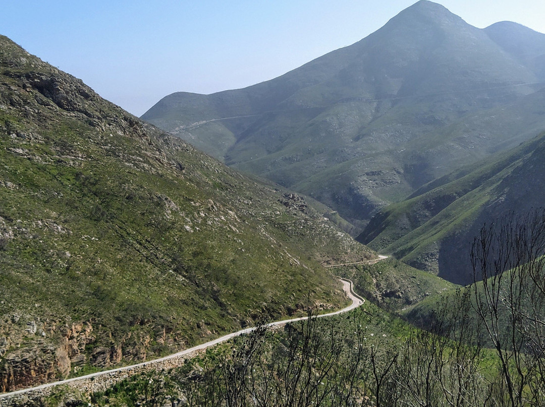 WildX Adventures - Garden Route-荒野必去景点