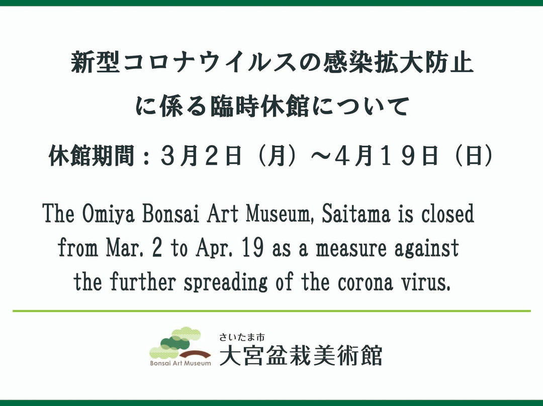 The Omiya Bonsai Art Museum Saitama-埼玉市必去景点