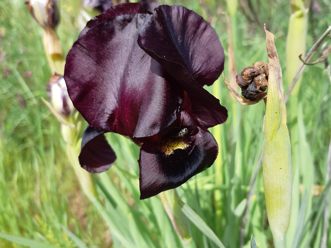 Ilanot Forest-Kadima必去景点