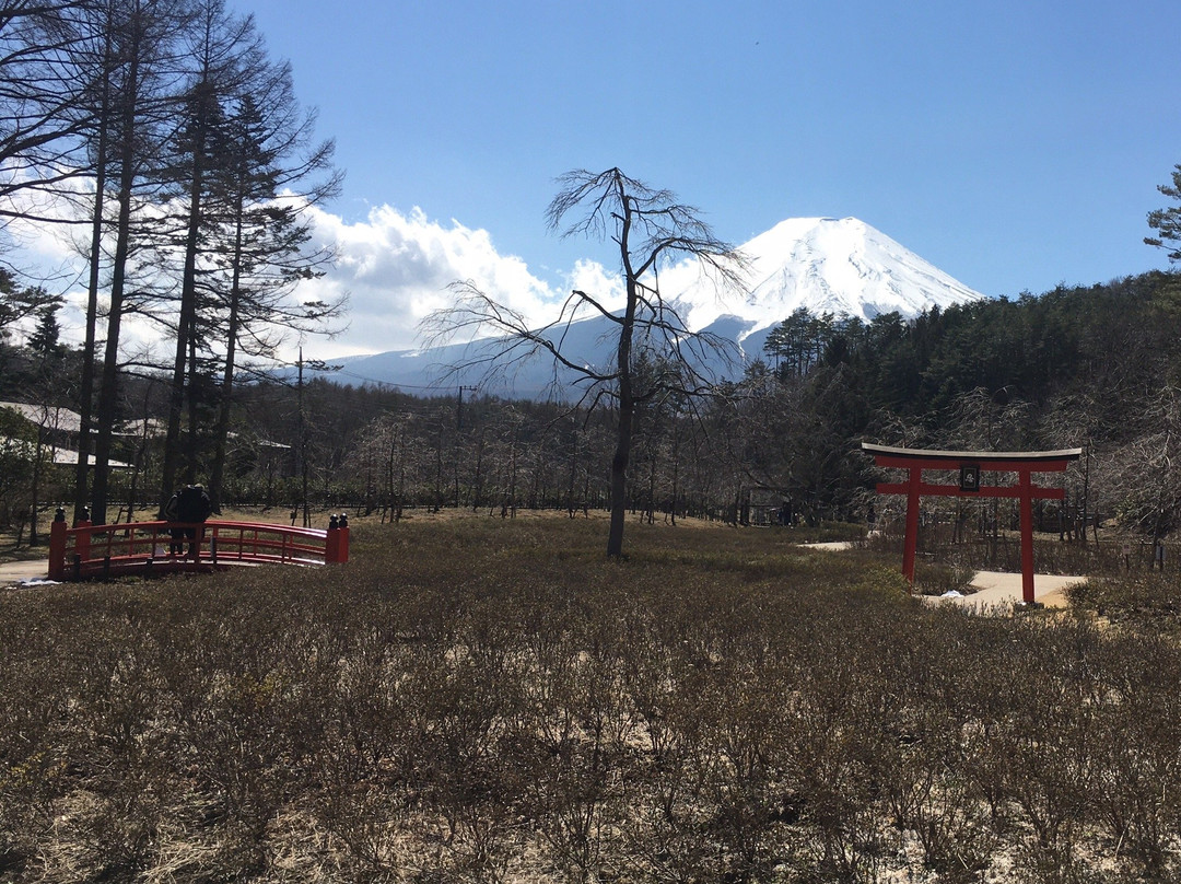 Oshino Shinobi no Sato-忍野村必去景点