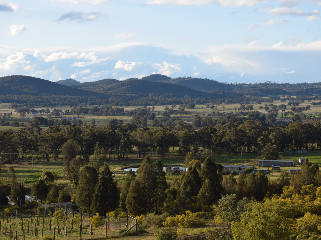 The Mudgee Homestead Guesthouse主图