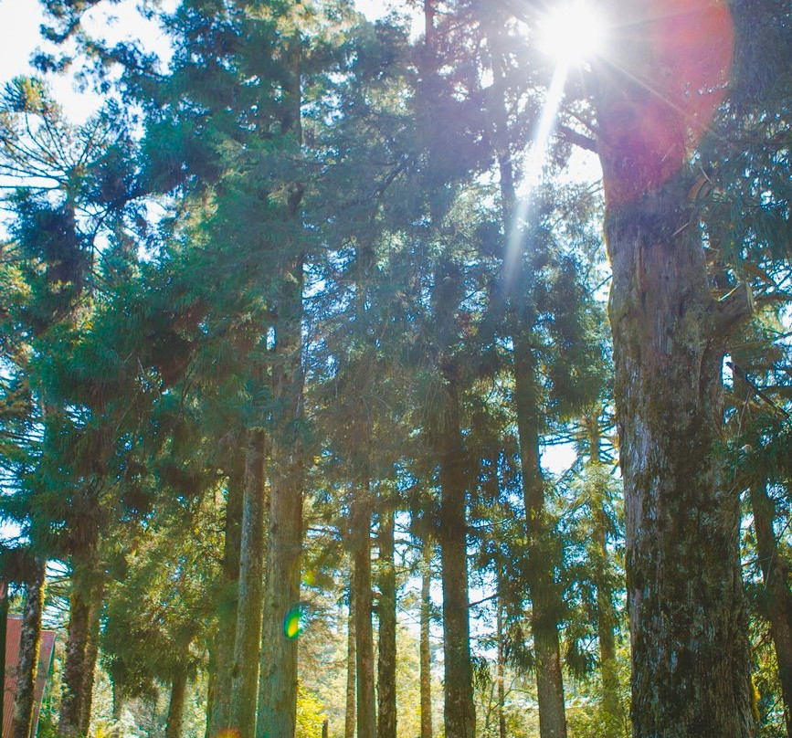 Sao Chico Pousada - EcoVillage主图