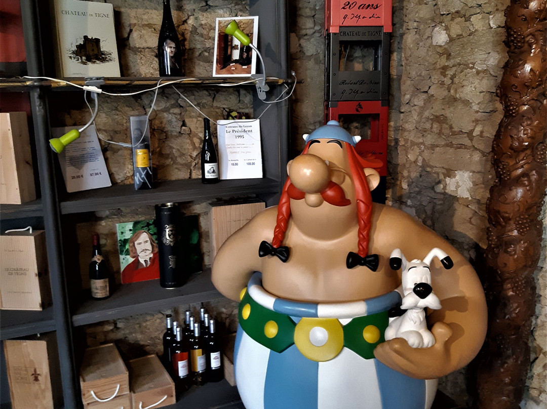 Château de Tigné Vins Gérard Depardieu景点图片