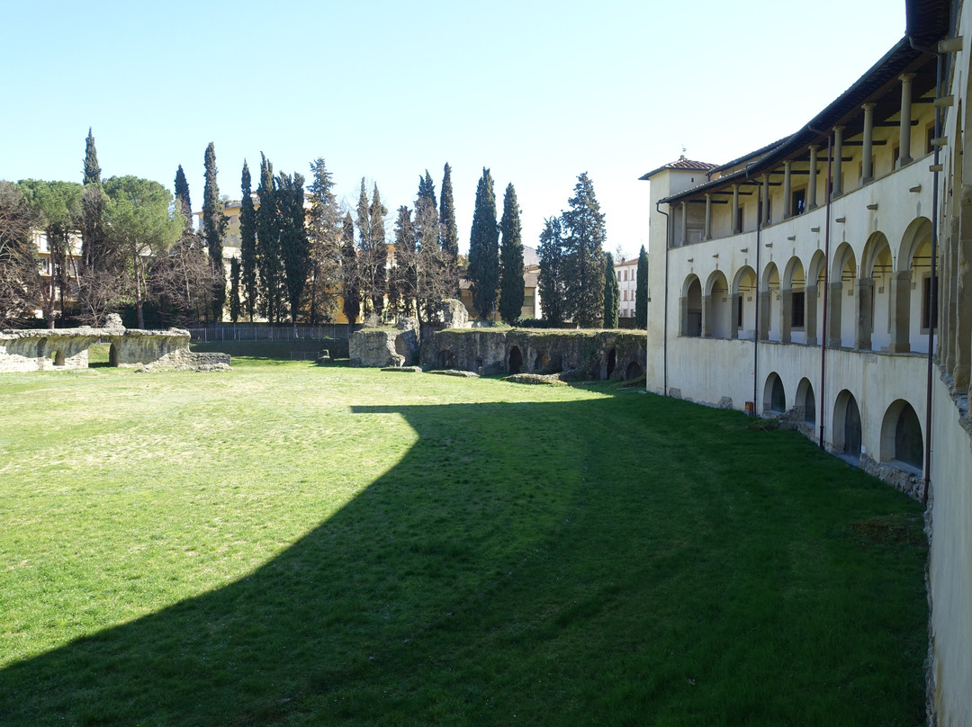 Museo Archeologico Mecenate景点图片