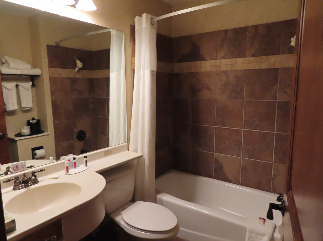 Ramada by Wyndham Frisco主图