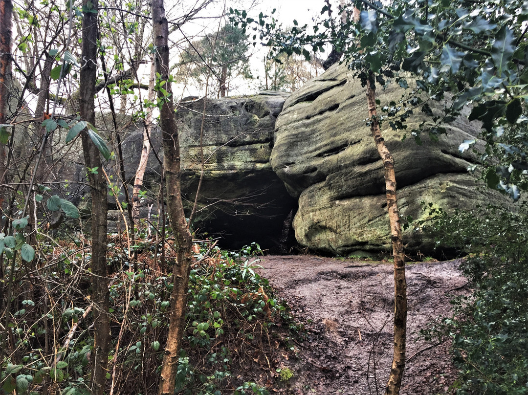 Eridge Rocks Nature Reserve景点图片
