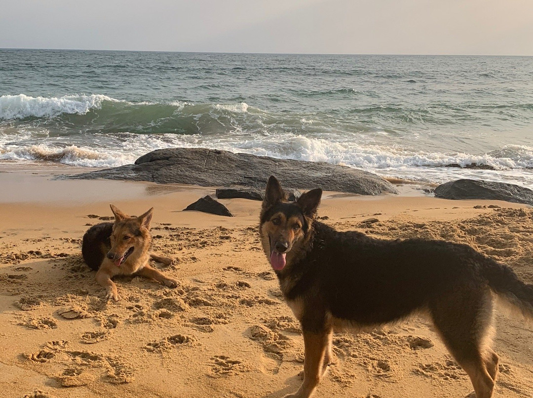 Rathgama旅游攻略图片